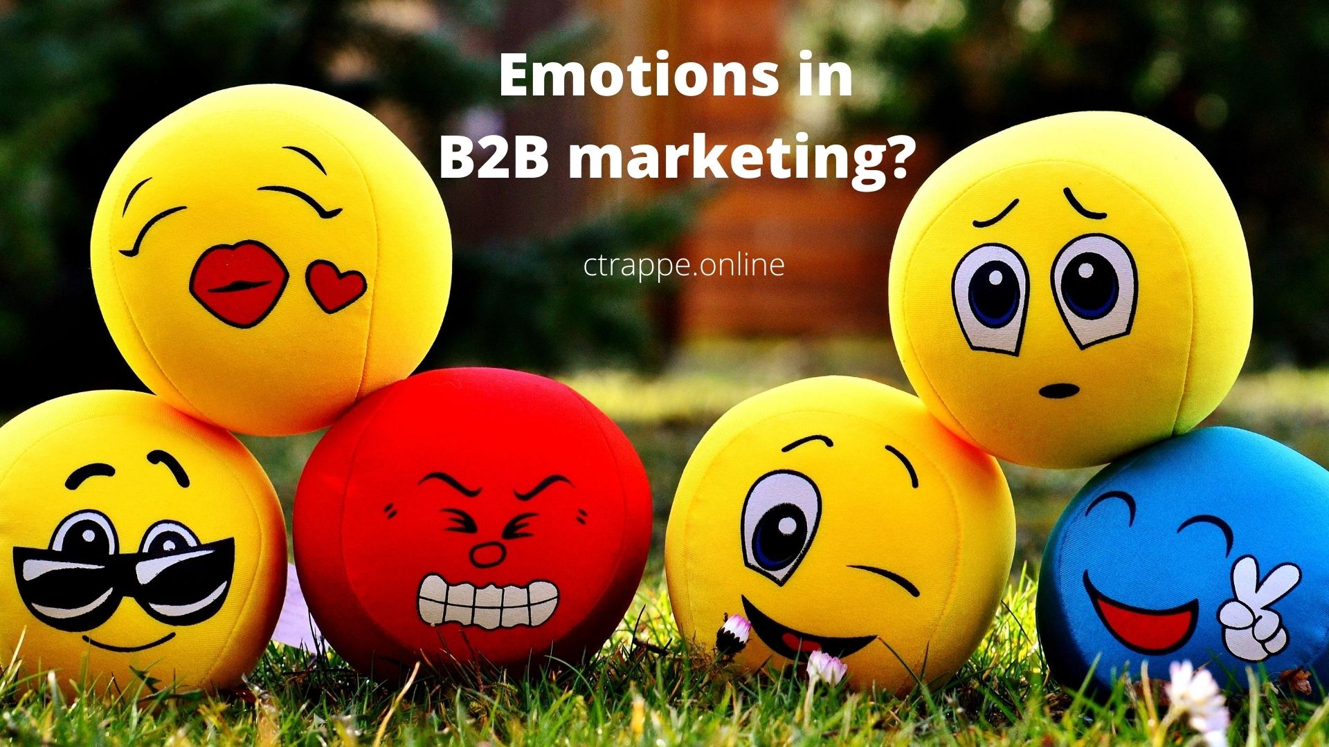 B2B marketing strategy and emotion